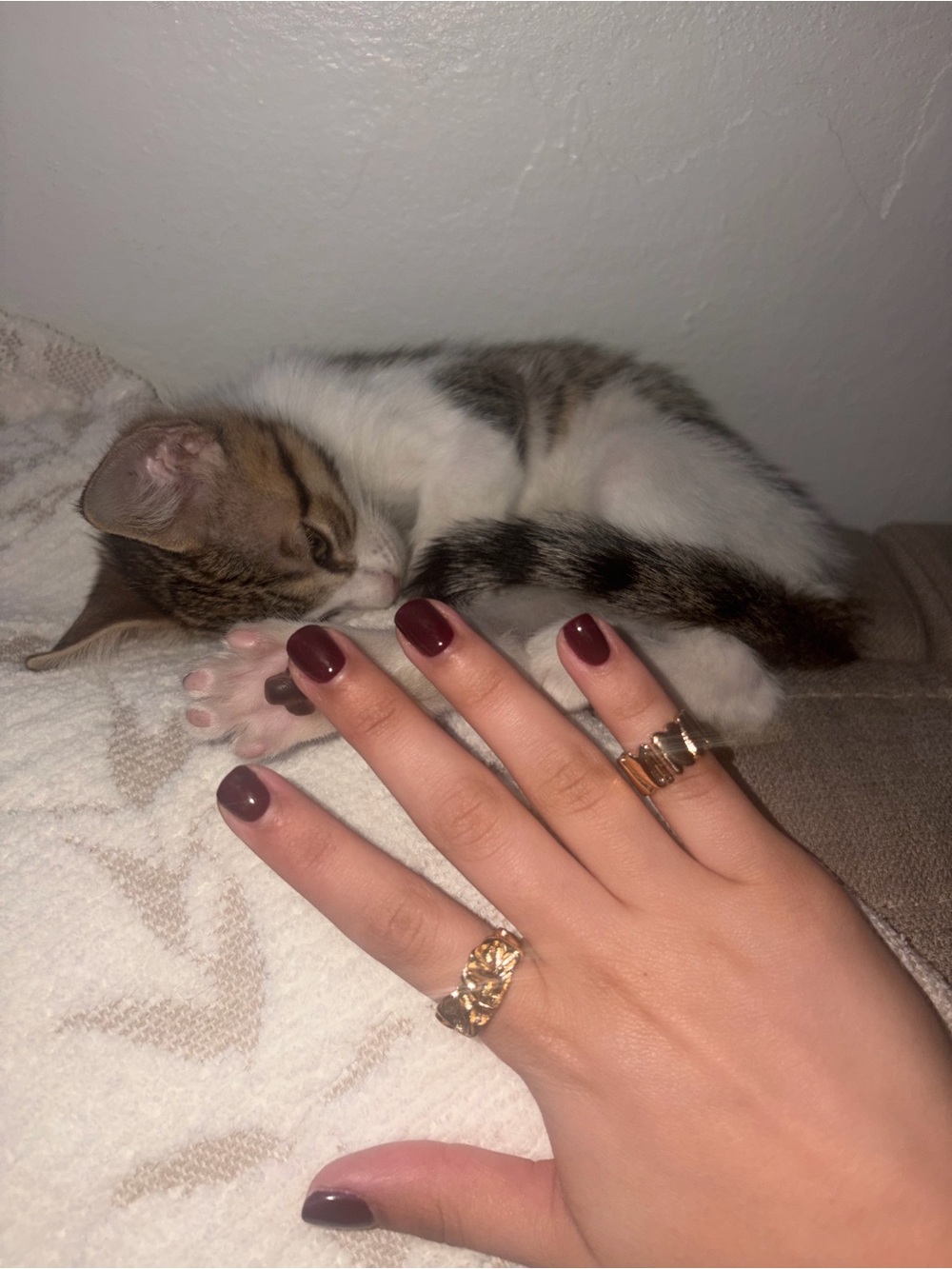 Gold Floral Band Ring - Women's Fashion Ring in Gold